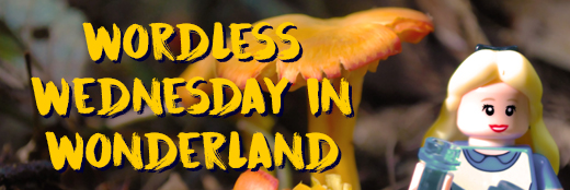 Wordless Wednesday in Wonderland