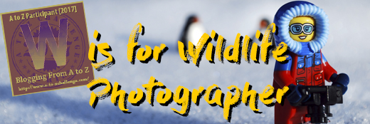 W is for Wildlife Photographer
