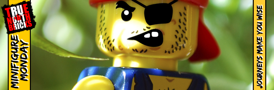 Minifigure Monday: Journeys Make You Wise