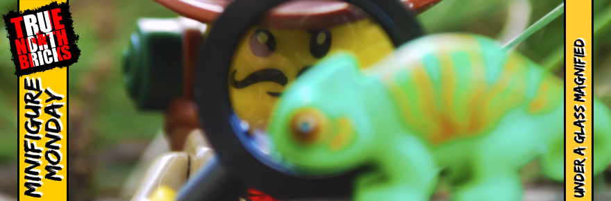 Under a Glass Magnified