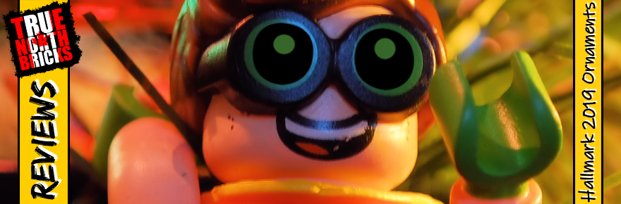 2019 Hallmark Robin Ornament