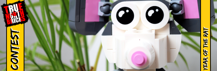 Year of the Rat Contest