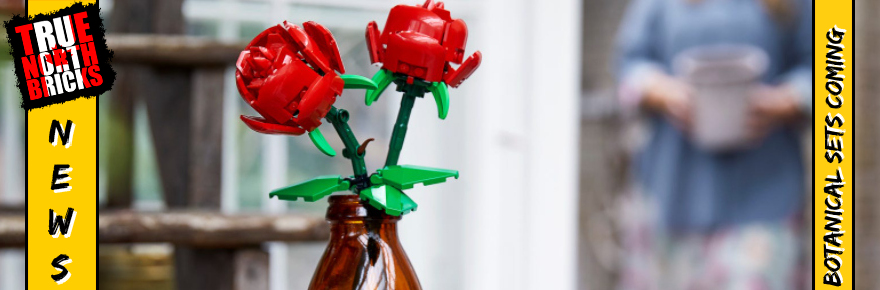 Botanical Sets Coming Soon