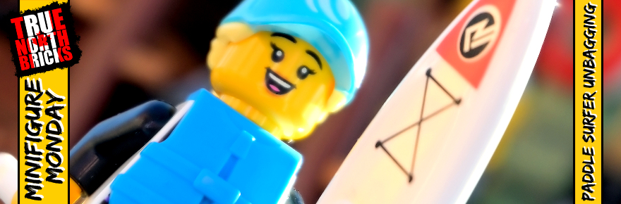 Series 21 Paddle Surfer