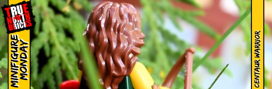 Series 21 Centaur Warrior Feel Guide