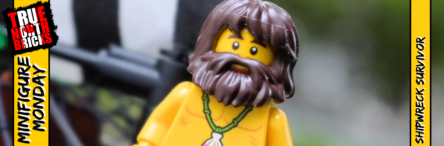 Shipwreck Survivor Feel Guide