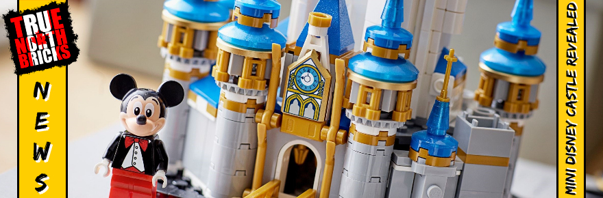 MINI DISNEY CASTLE REVEALED