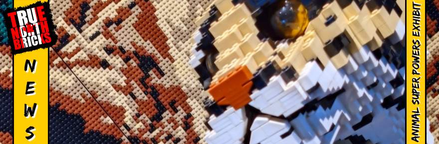 Animal Superpowers Exhibit Opens in Montreal