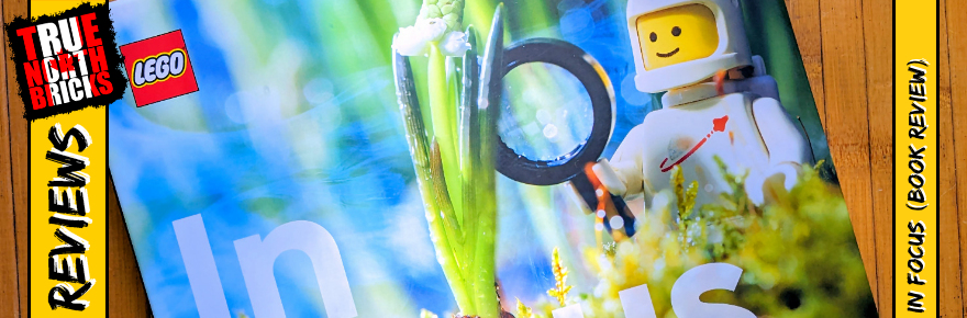 In Focus (Book Review)