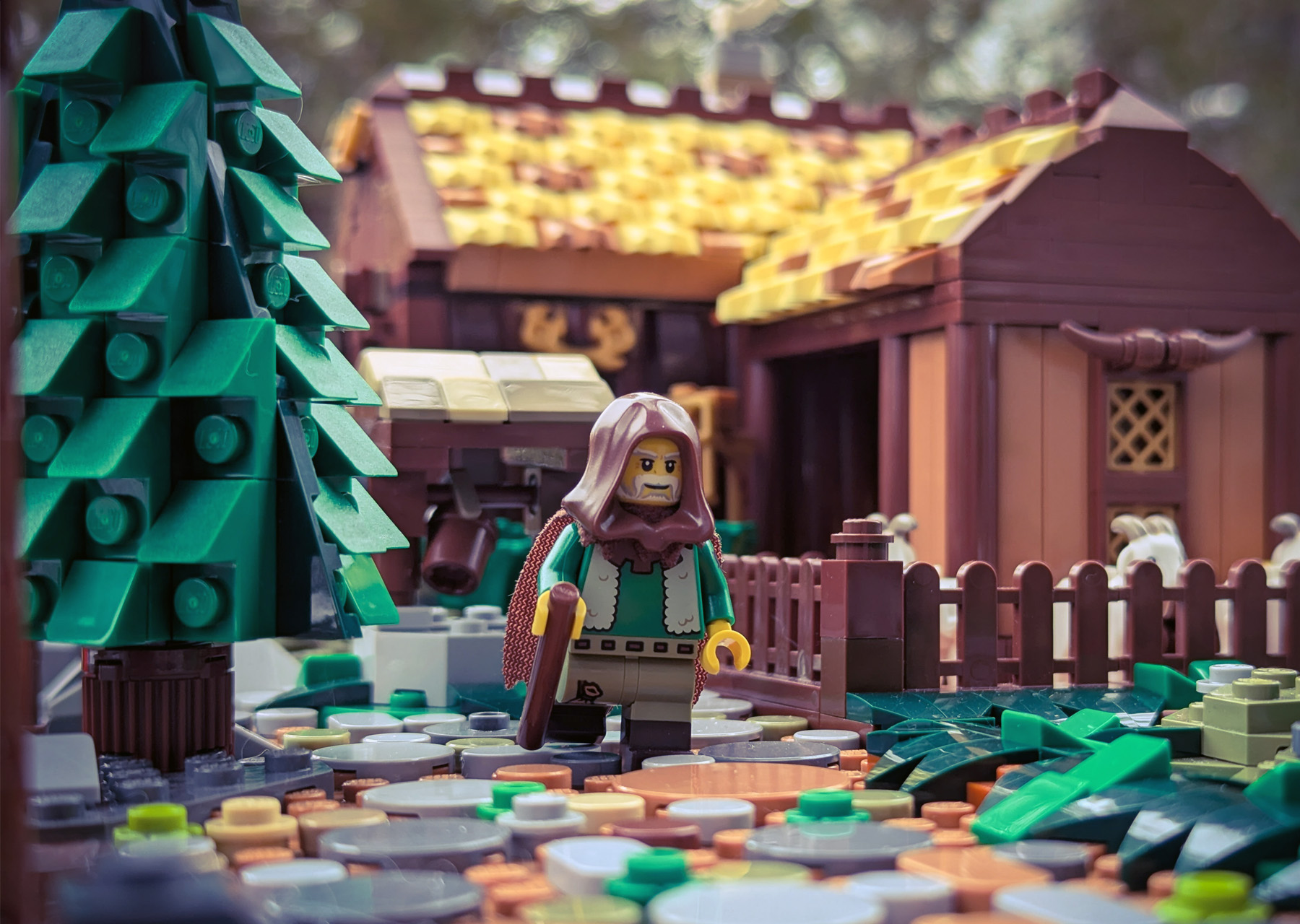 The Vikings have settled