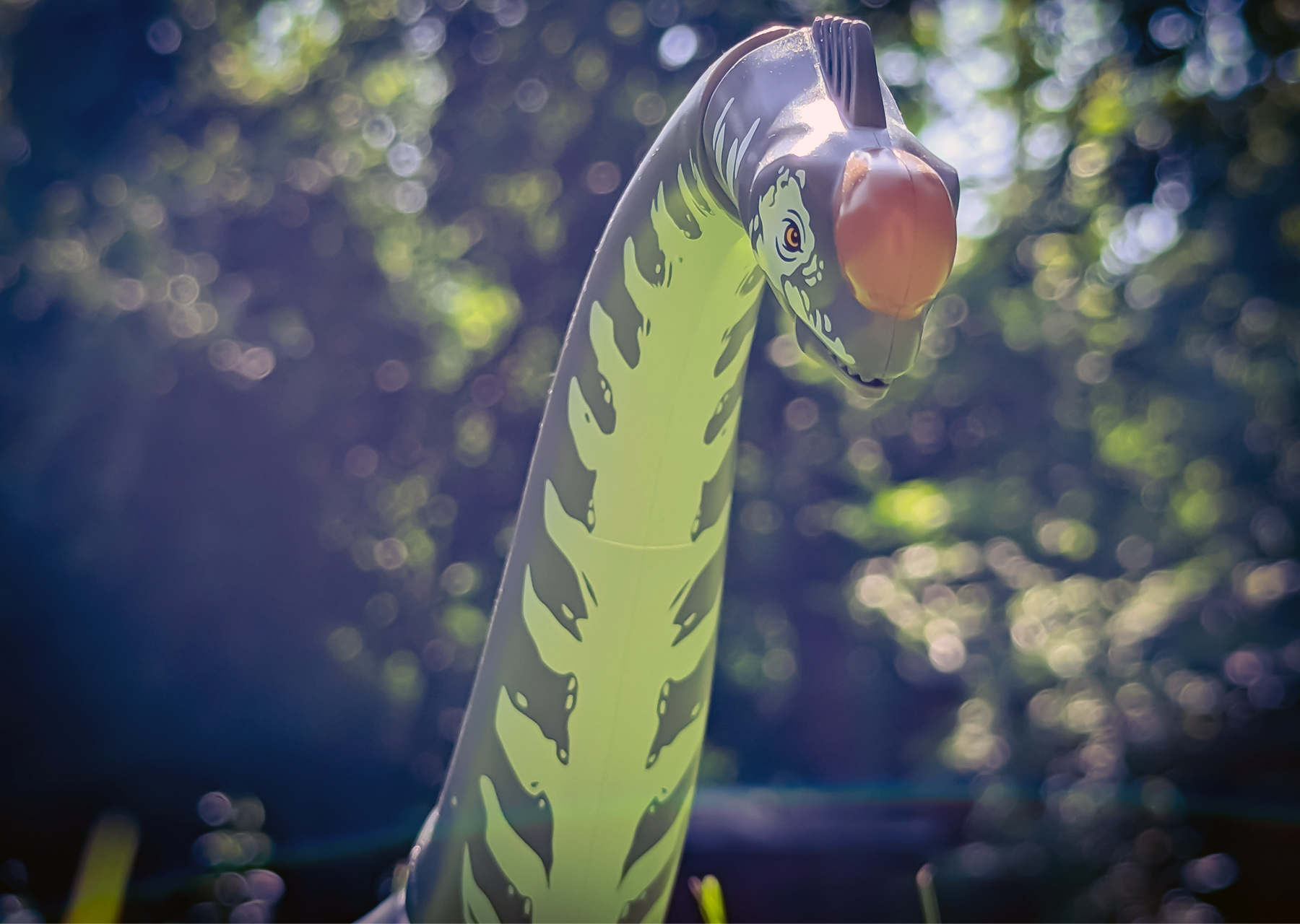 Raptor & Titanosaurus Tracking Mission Review